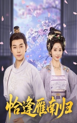 恰逢雁南归第32集