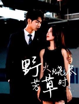 野火烧尽芳草时第29集