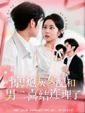 惊！炮灰女配和男二喜结连理了(全集)