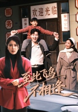 至此飞鸟不相逢第55集