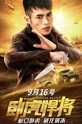 卧虎悍将正片
