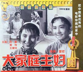 大家庭主妇正片