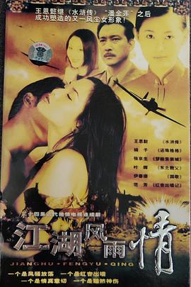 江湖风雨情第22集