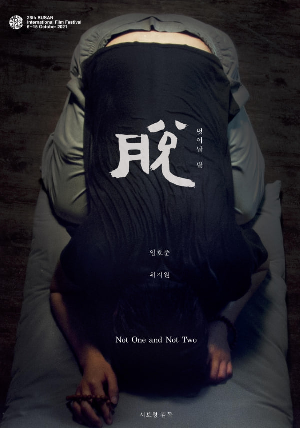 不是一，也不是二抢先版