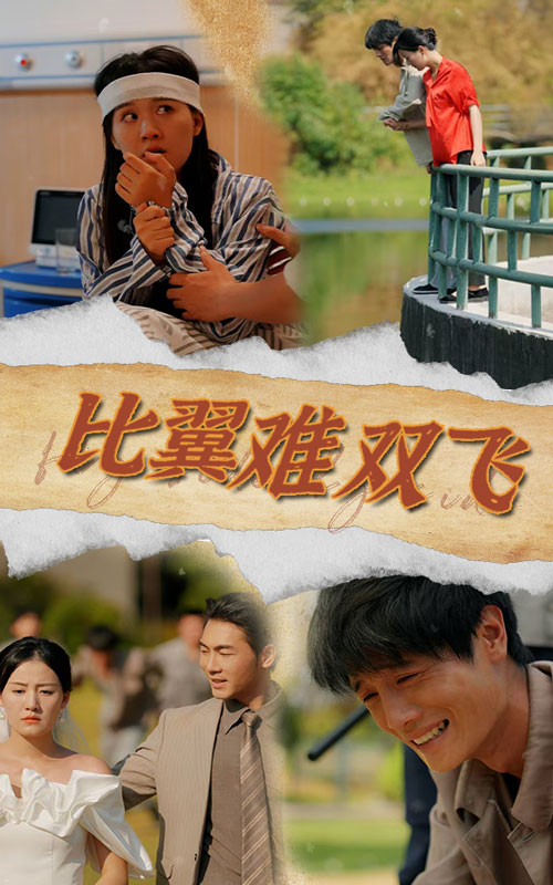 比翼难双飞第14集