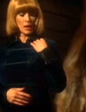 西伯利亚母虎HD