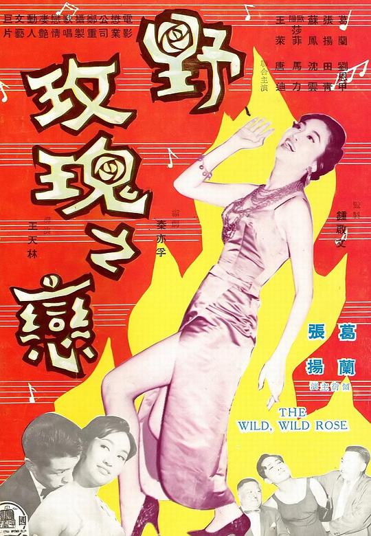 野玫瑰之恋正片