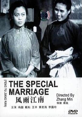 风雨江南正片