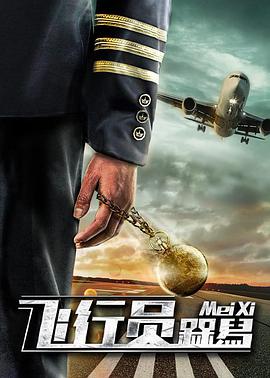 飞行员呆呆鸟正片