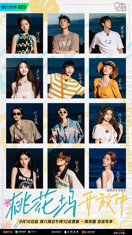 桃花坞开放中第1期