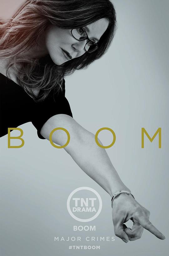 重案组第五季第13集