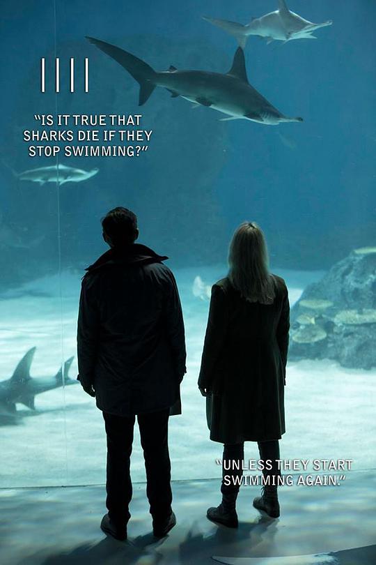 桥第四季第01集