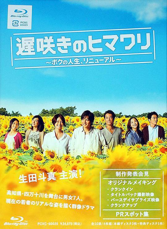 迟开的向日葵第06集