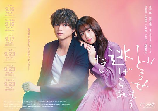 反正你也逃不掉第01集