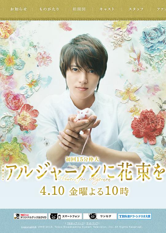 献给阿尔吉侬的花束第05集