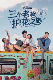 三个老爸的护花之旅第10集(大结局)