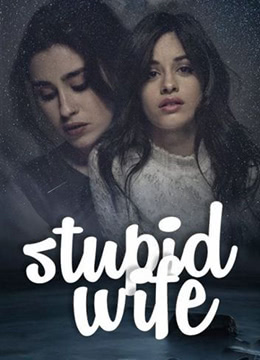 我的老婆失忆了第01集