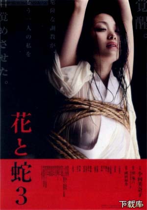 花与蛇3正片