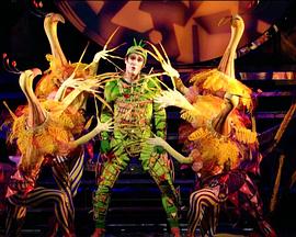 斗法(英语版)正片