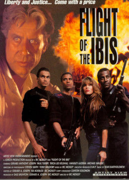 无敌雄鹰(普通话版)正片