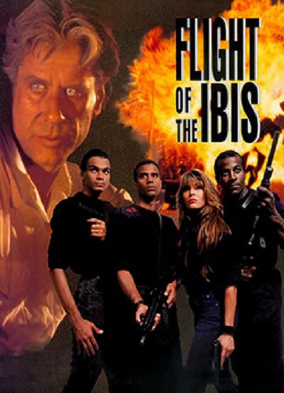 无敌雄鹰(原声版)正片