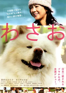 秋田犬蓬夫正片