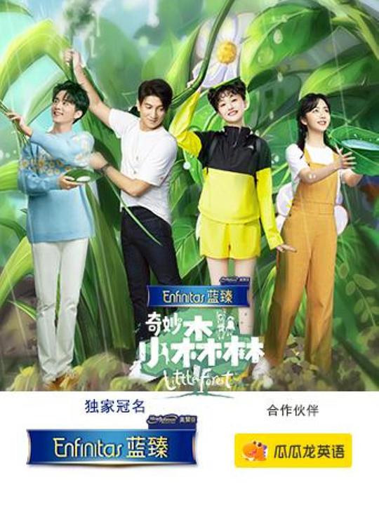 奇妙小森林第20200613期