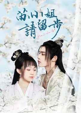 苏小姐请留步第21集