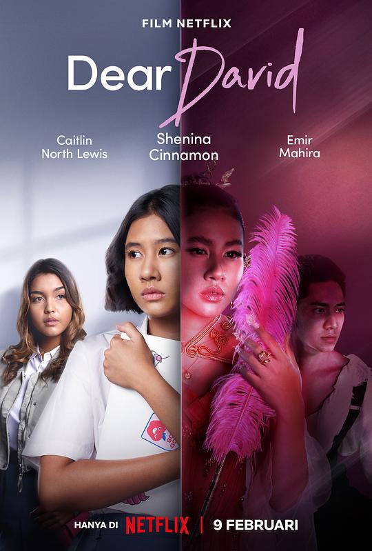 亲爱的大卫正片