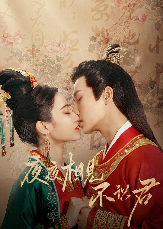 夜夜相见不识君第22集