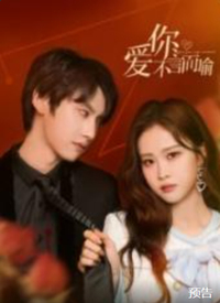 爱你不言而喻第12集