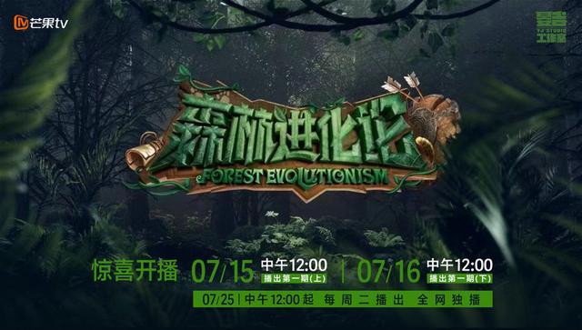 森林进化论第20230822集