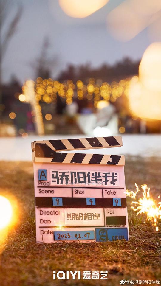 骄阳伴我第31集