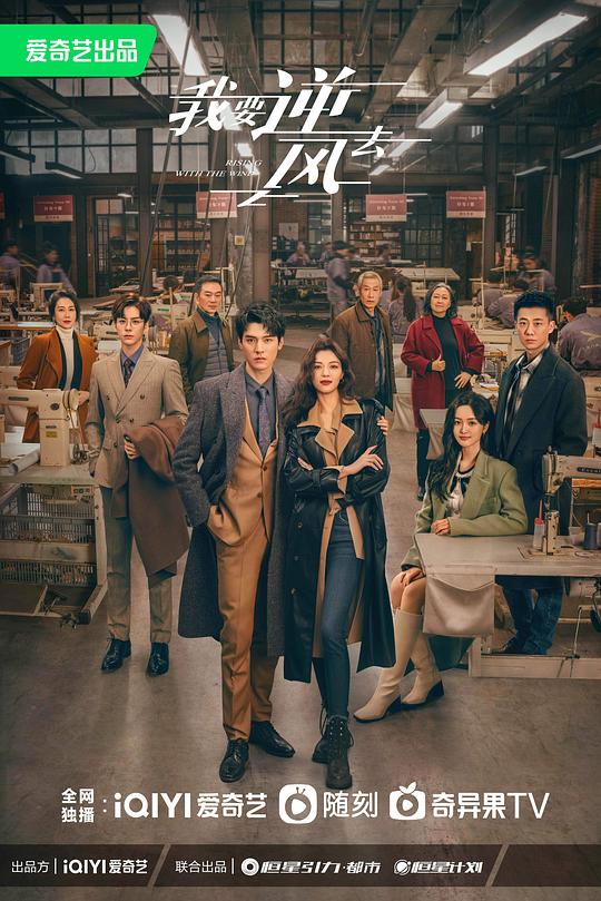 我要逆风去第40集(大结局)