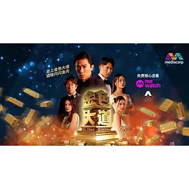 金色大道第30集(大结局)