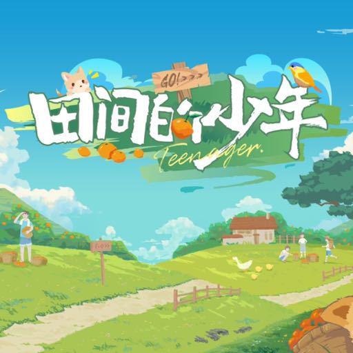 田间的少年第20231228期