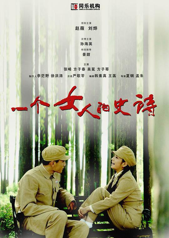 一个女人的史诗第12集