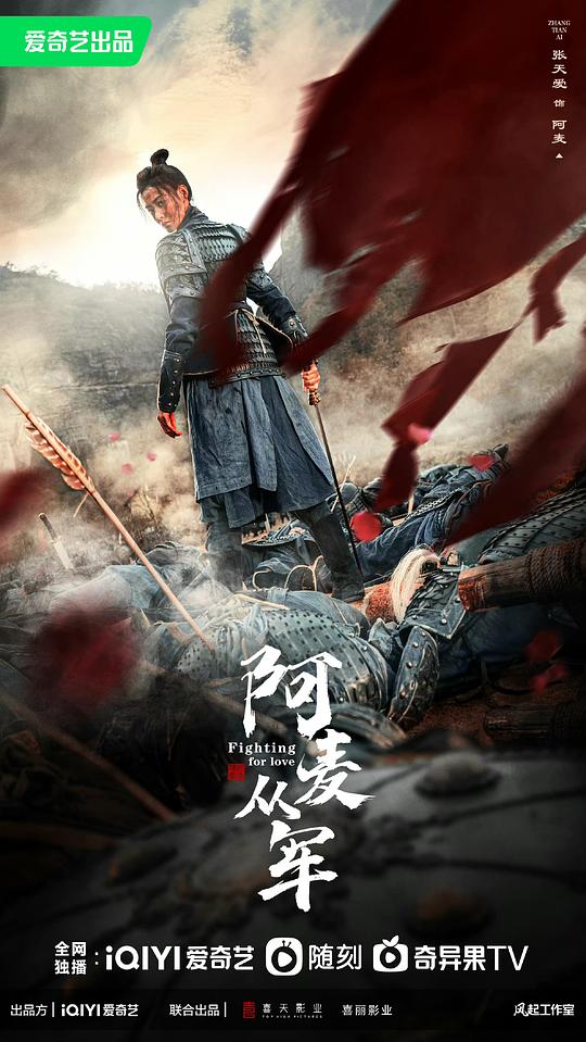 阿麦从军第28集