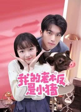 我的老板是小猪第01集
