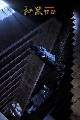 扫黑行动之黄金正片