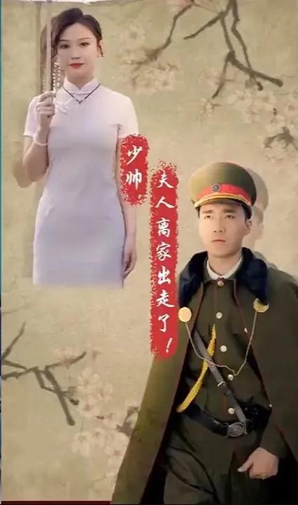 少帅，夫人离家出走了全集(大结局)