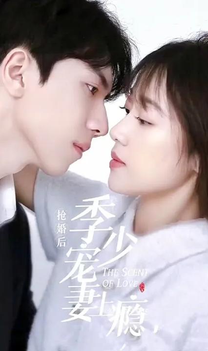 抢婚后，季少宠妻上瘾全集(大结局)