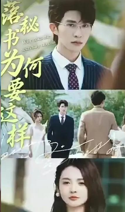 落秘书为何要这样全集(大结局)