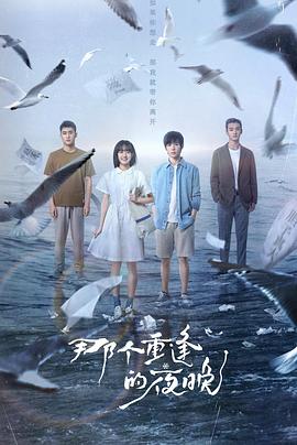 那个重逢的夜晚第11集