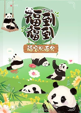 福到福到福宝见面会第20240612期