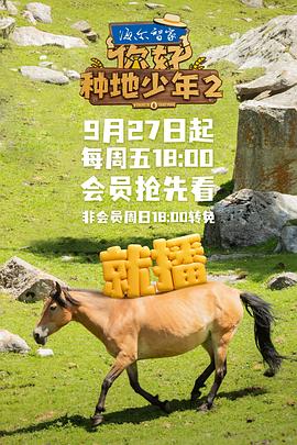 你好，种地少年2第20241122期