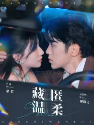 藏匿温柔第49集