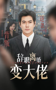 辞职离婚变大佬第04集