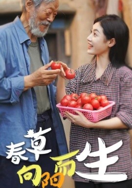 春草向阳而生第01集