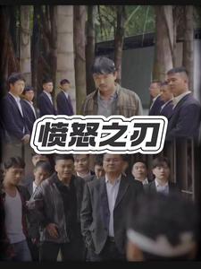 愤怒之刃第07集